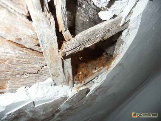 Как отремонтировать деревянную балку перекрытия своими силами